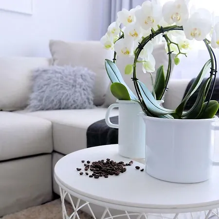 Appartement Chilliapartamenty - Blizej Morza - Mocca