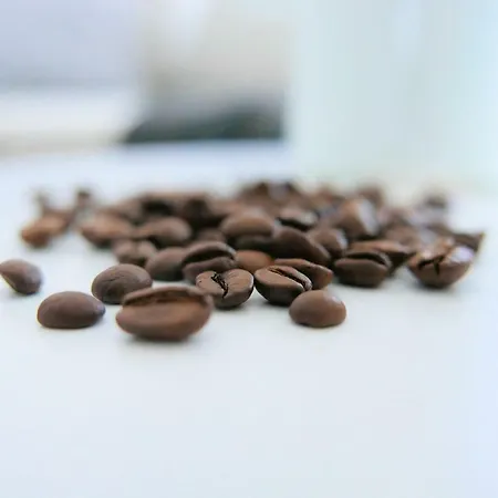 Chilliapartamenty - Blizej Morza - Mocca Lejlighed *