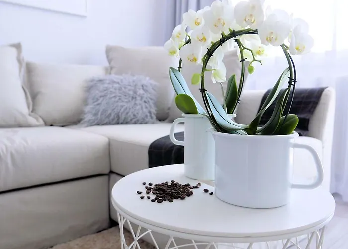 Lägenhet Chilliapartamenty - Blizej Morza - Mocca