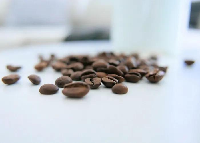 Chilliapartamenty - Blizej Morza - Mocca Lägenhet *